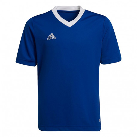 adidas laste särk Entrada 22 Jsy HG3948 116cm, sinine