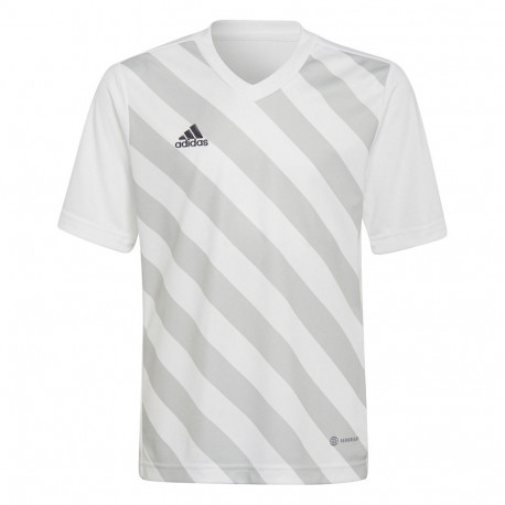 Koszulka dla dzieci adidas Entrada 22 Graphic Jersey biało-szara HF0120 116cm