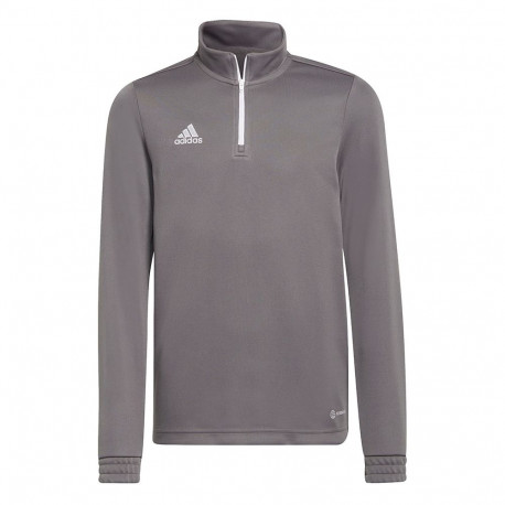Adidas laste treeningpluus Entrada 22 H57549 164cm, hall