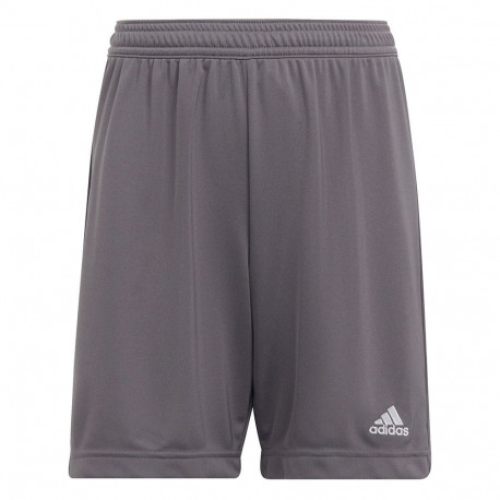 Adidas laste lühikesed püksid Entrada 22 H57507 152cm, hall