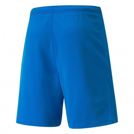 Puma meeste lühikesed püksid teamRISE 704942 02 XL, sinine