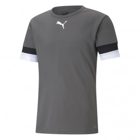 Puma meeste särk teamRISE Smoked 704932 13 M, hall