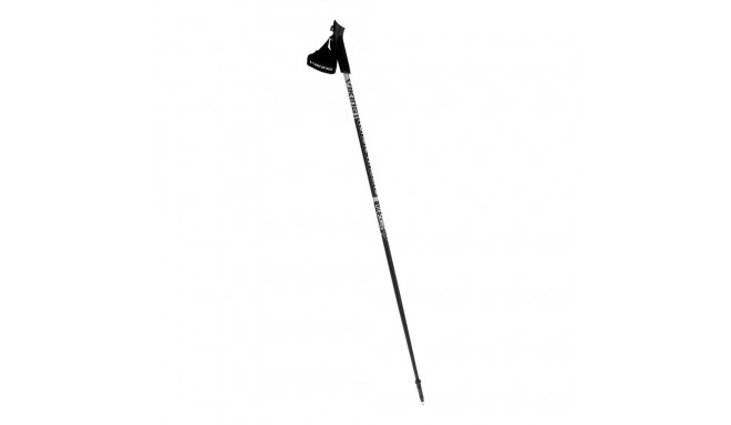 Kijki Nordic Walking Viking Lite Pro 110 cm czarno-szaro-białe 650-21-4563-08-110