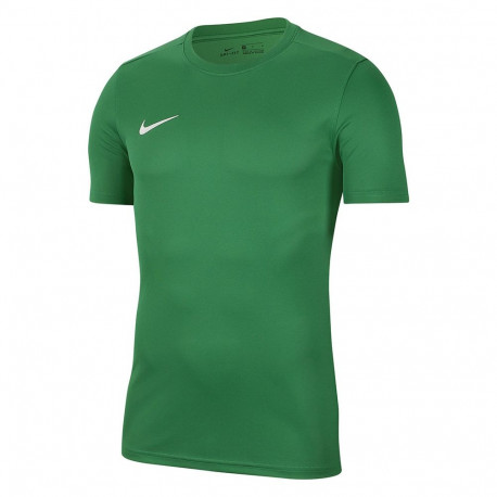 Nike meeste särk Dry Park VII JSY SS BV6708 302 L, roheline