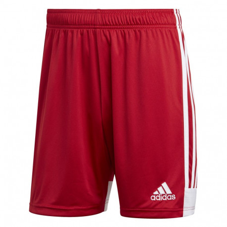 Adidas meeste lühikesed püksid Tastigo 19 DP3681 S, punane