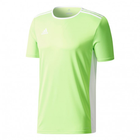 Adidas laste särk Entrada 18 Jersey JUNIOR CE9755 116cm, laimiroheline