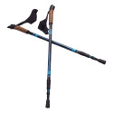 Kijki Nordic Walking Scout Bjorn niebieskie 3cz