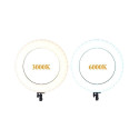 Ring lamp LED 60W (3000-6000K) with case