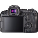 Canon EOS R6 + RF 24-105mm f/4L IS USM + Mount Adapter EF-EOS R