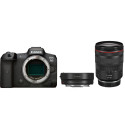 Canon EOS R5 + RF 24-105mm f/4L IS USM + Mount Adapter EF-EOS R