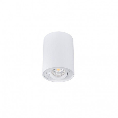 CEILING LIGHT POINT FITTING BORD DLP-50W