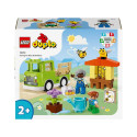 CONSTRUCTOR LEGO DUPLO 10419