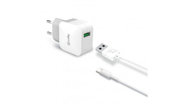 Portable charger Celly TCUSBTYPEC White