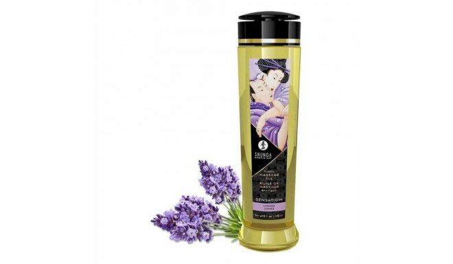 Erotic Massage Oil Shunga SHU-1206 (240 ml)