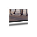 Thomson 43UA5S13 TV 109.2 cm (43&quot;) 4K Ultra HD Smart TV Wi-Fi Black