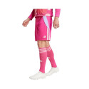 Adidas Tiro 24 M IT2417 shorts (L)