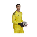 Adidas Condivo 22 Jersey Long Sleeve M HF0137 goalkeeper shirt (XL)