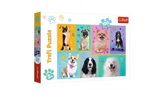 Puzzle 100 PCS Dogs world 16421