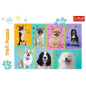  Trefl puzzle Dogs world 100 pcs (16421)