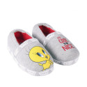 House Slippers Looney Tunes - 30-31