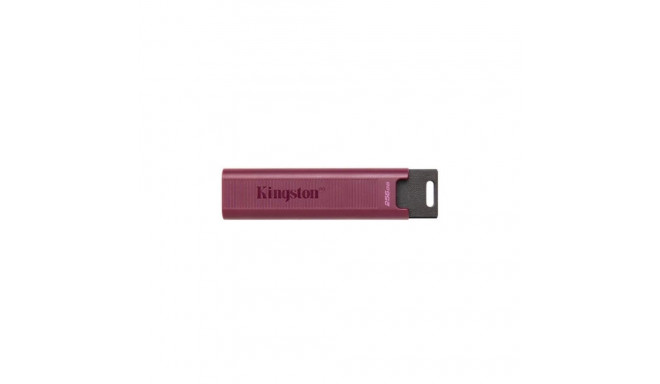Kingston MEMORY DRIVE FLASH USB3.2/256GB DTMAXA/256GB
