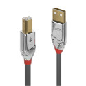 LINDY CABLE USB2 A-B 2M/CROMO 36642