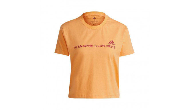 Adidas Gradient Logo Cropped T-shirt W GM5579 (XS)