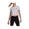 Adidas Gradient Logo Cropped T-shirt W GM5577 (L)