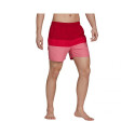 Adidas Colorb M GU0312 shorts (M)