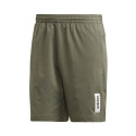 Adidas Brilliant Basics Short M FL9009 shorts (S)