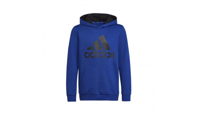 Adidas Big Logo Essentials Hoody Jr HN1912 sweatshirt (128 cm)
