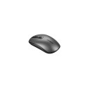 Canyon CNS-CMSW18DG mouse Ambidextrous RF Wireless Optical 1600 DPI