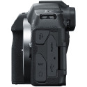 Canon EOS R8 + RF 24-105mm f/4L IS USM + Mount Adapter EF-EOS R