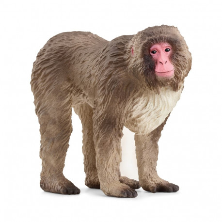 SCHLEICH WILD LIFE Japanese Macaque