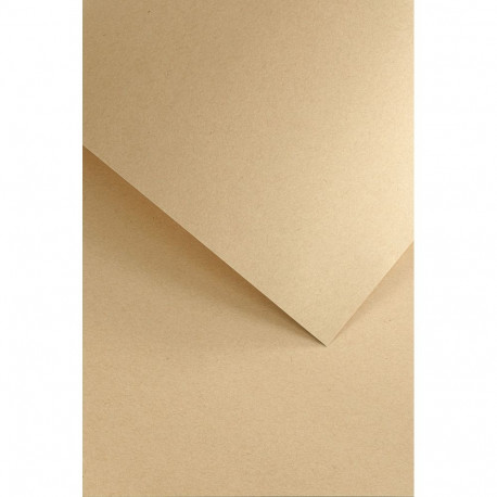 Disainpaber Nature Dark Beige A4, 120g/50lk