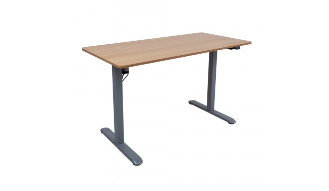 Desk ERGO LIGHT with 1 motor 120x60cm, silver grey/oak