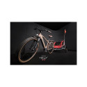 TRAILER BICYCLE FOR CHILDREN 10BT602