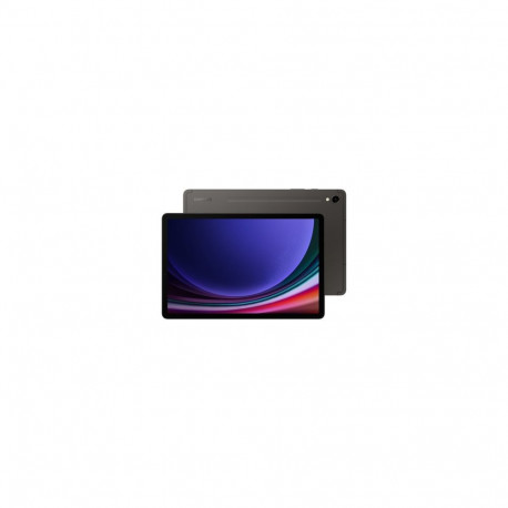 "Samsung Galaxy Tab S9 256GB Wi-Fi Graphit"