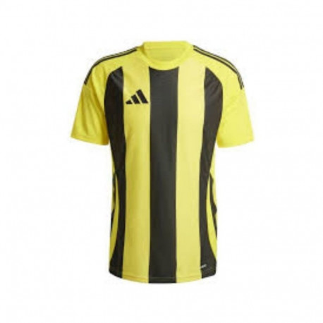 Adidas Striped 24 JSY M T-shirt IW2146 (XL)