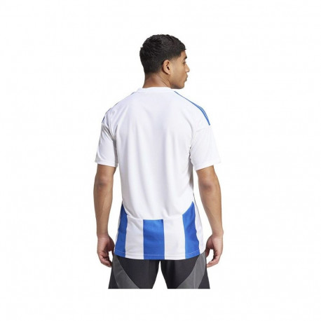 Adidas Striped 24 JSY M T-shirt IW2144 (M)