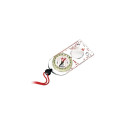 A-30/CM/L/N komp. suur.klaasiga helenduv -