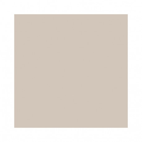 PAINT BATHROOM PERF CINNAMON 2L