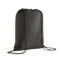 Puma Team Goal shoe bag 090240 01