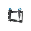 Esperanza ERW010 (14-50 inch) TV mounting frame