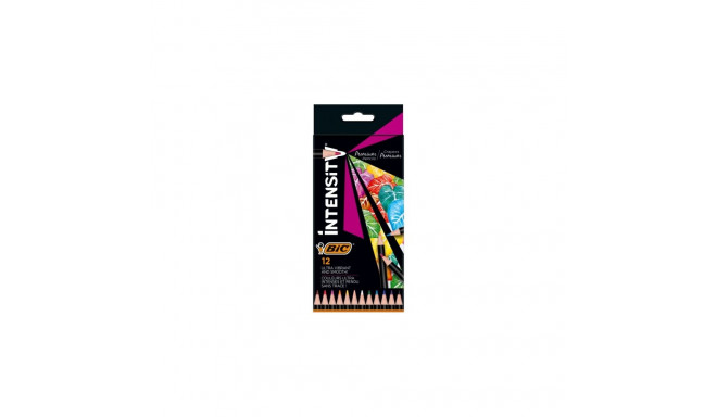 BIC Coloring pencils Intensity 12 colours 951844