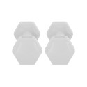 Hexagonal dumbbells Spokey MONSTER 2x 1 kg 9506919000 (2x 1kg)