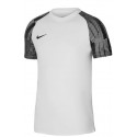 Nike meeste T-särk Dri-Fit Academy SS M DH8031-104 (M/178cm)