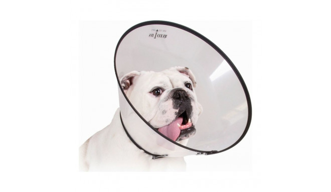 Elizabethan Dog Collar KVP Saf-T-Clear Transparent (30-53 cm)