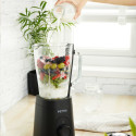 Petra PT5531MBLKVDE Glass Jug blender black