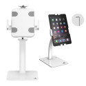 Maclean MC-468W Universal Tablet Stand Holder Lockable 7.9" - 11" Table or Wall Mounting Public Disp